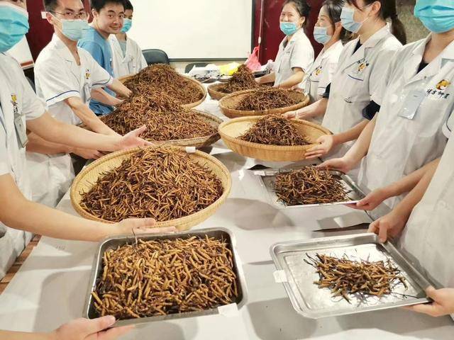 Kaiyun：天价虫草被曝光！他的一番话令同行羞愧难当(图1)