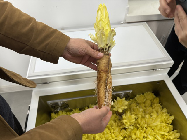 Kaiyun：宁波卫生职业技术学院：“水手食舱”项目助力破解远洋膳食难题(图1)