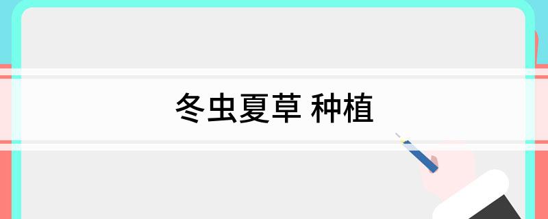 Kaiyun：冬虫夏草 种植(图1)