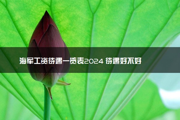 海军工资待遇一览表2024待遇好不好(图1)