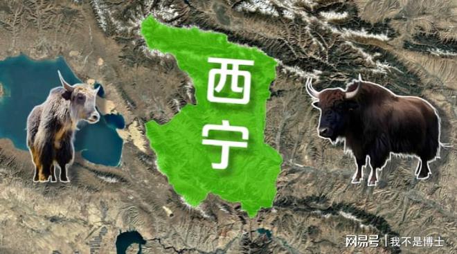 不打工靠虫草！青海逆袭秘诀曝光月入过万牧民多过打工人？(图3)