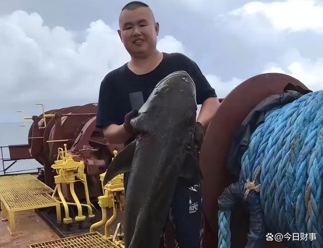 Kaiyun：为什么船员工资给得高却没人愿意干呢？网友：男女关系猫腻太多(图5)