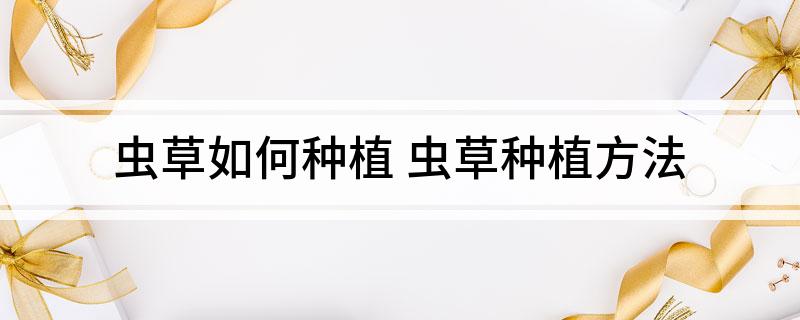 虫草如何种植 虫草种植方法(图1)