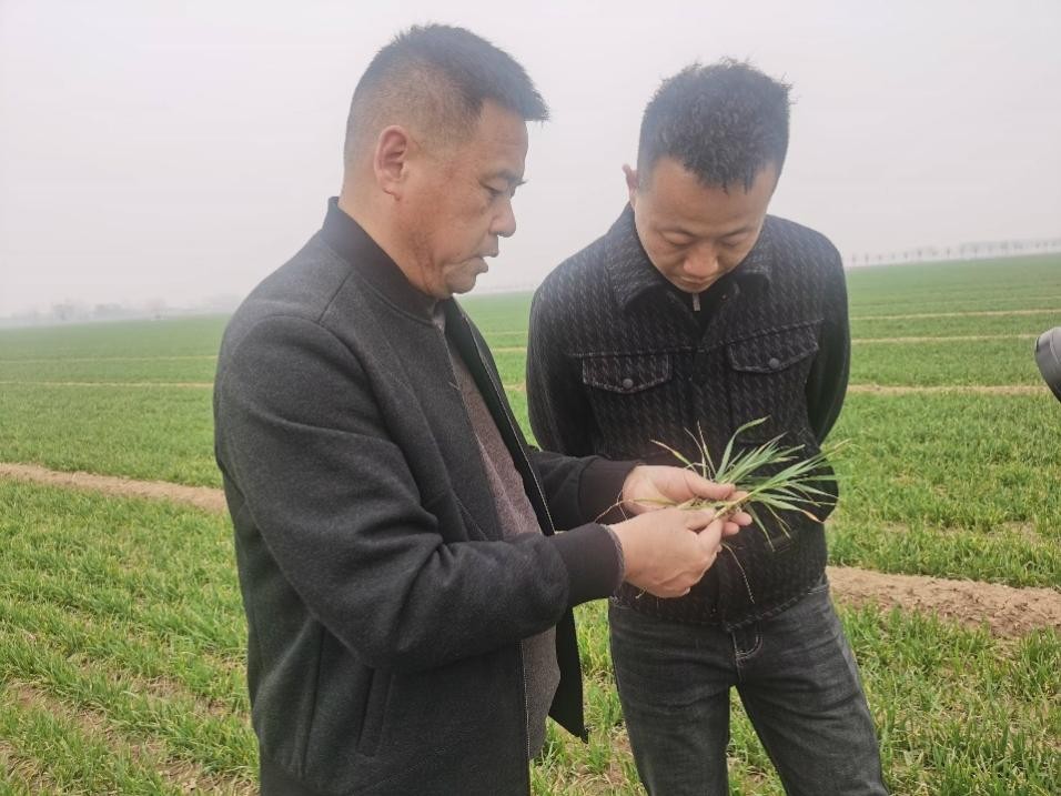 春耕一线见闻：“大国粮仓”藏着“科技密码”(图2)