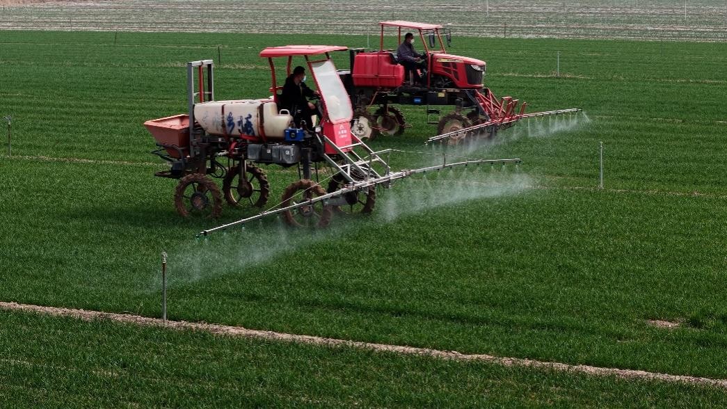 春耕一线见闻：“大国粮仓”藏着“科技密码”(图1)