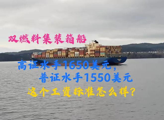 Kaiyun：双燃料集装箱船高证水手1650美元普证1500美元这个工资标准怎么样？(图1)