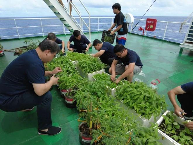 Kaiyun：自然资源部北海局履行海洋调查职能60年！(图5)