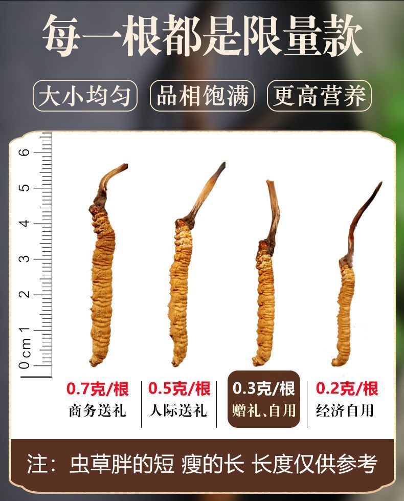 林间“藏宝”！19亿产值解锁乡村振兴密码(图1)