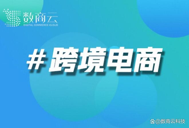 Kaiyun：破局与重构：2025年跨境电商定制化增长如何重塑全球贸易新范式(图1)