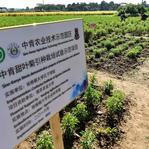 世界第二大岛国中国给他解决人口压力(图11)