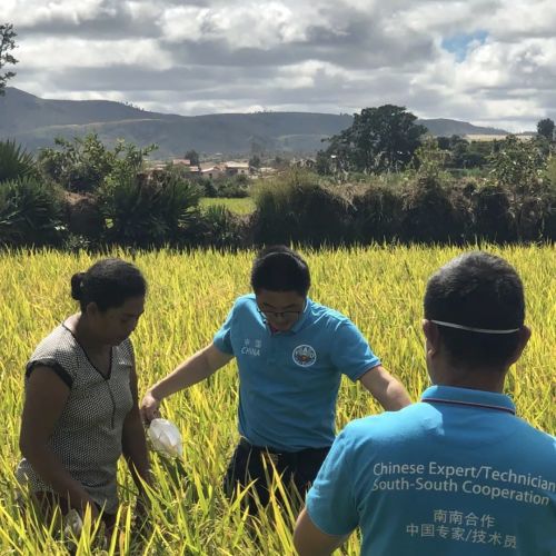 世界第二大岛国中国给他解决人口压力(图15)
