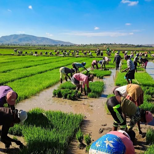 世界第二大岛国中国给他解决人口压力(图13)