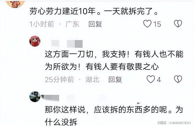 Kaiyun：10亿违建豪宅被推平屋主身份曝光官媒称完全合理！(图11)