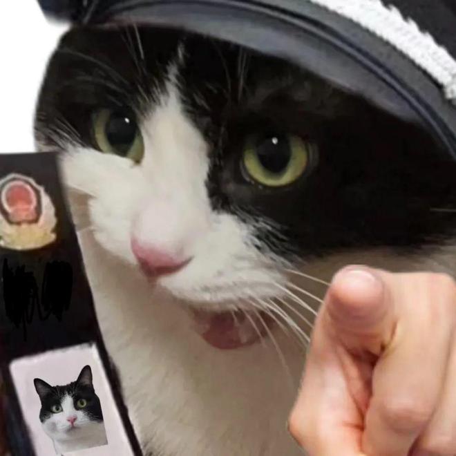 什么护士能上三休六、拿「 2 份工资」？这也太爽了(图1)