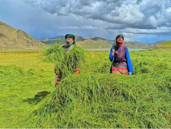 60年沧桑巨变铺就雪域高原的信息天路(图8)
