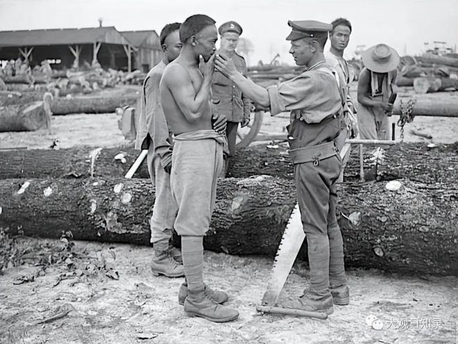 1917赴欧参战(图9)