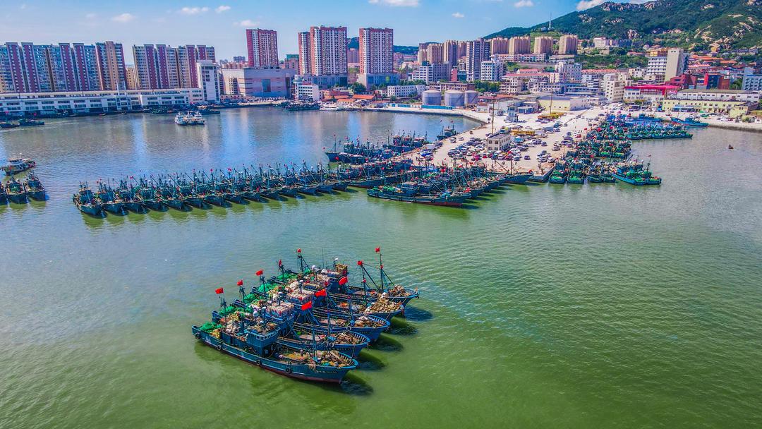 记者手记｜海城的腔调与进发_山东_大众网(图3)