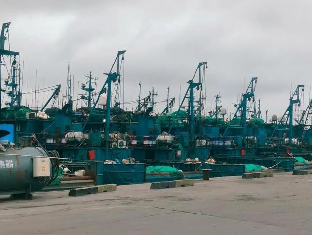 开海“一网鲜”窥见千亿链(图4)