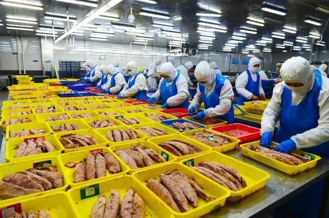 开海“一网鲜”窥见千亿链(图3)