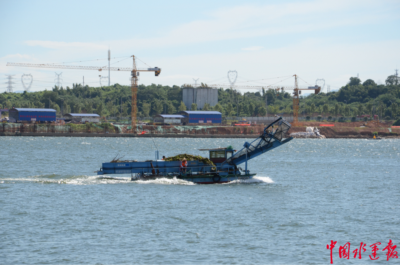 人工到智能捞垃圾收集油污水洁净湘江(图2)
