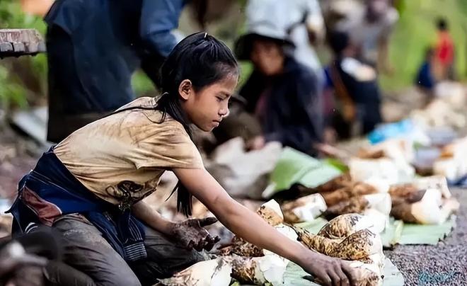 东亚第一“性压抑”国组团去老挝嫖幼女连大使馆都看不下去了(图11)