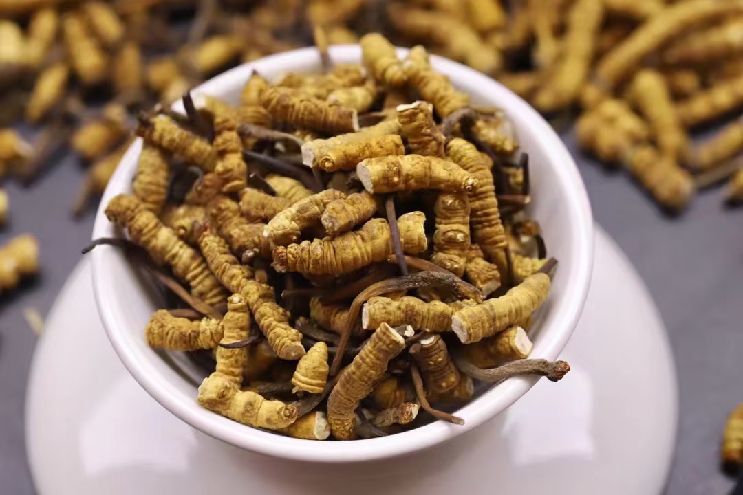 众兴菌业09月26日涨停分析(图1)