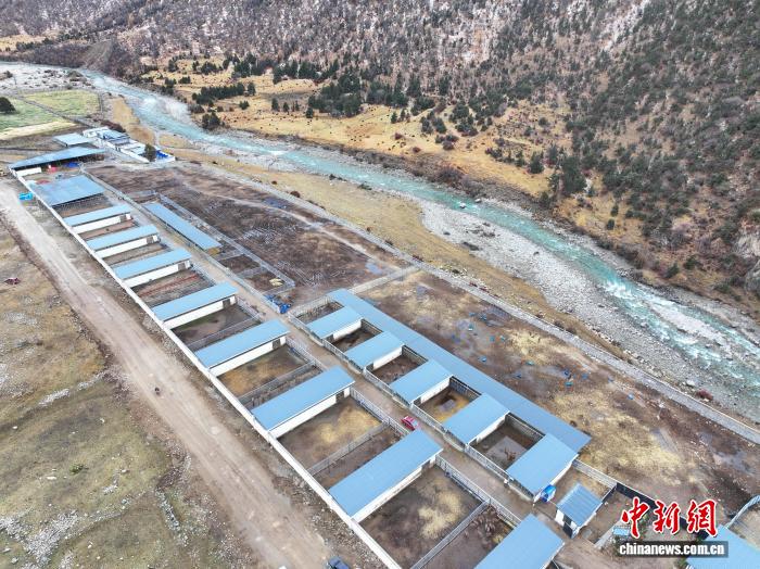 西藏工布江达养鹿基地蹚出致富新“鹿”径 2025年存栏将到达1000只(图2)