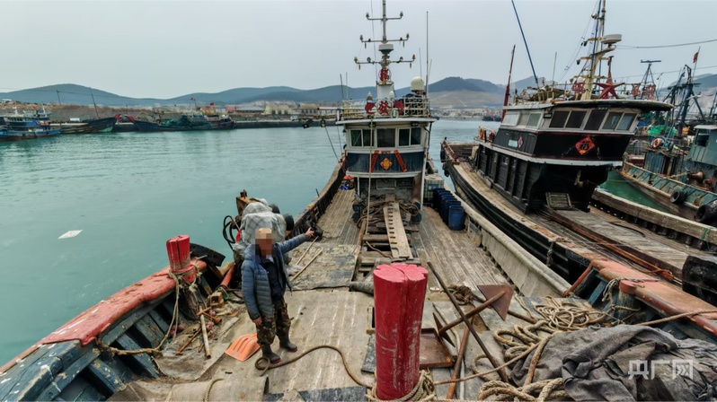 Kaiyun：三本假证牵出跨省制假网 大连海警破获首起涉海假证案(图1)