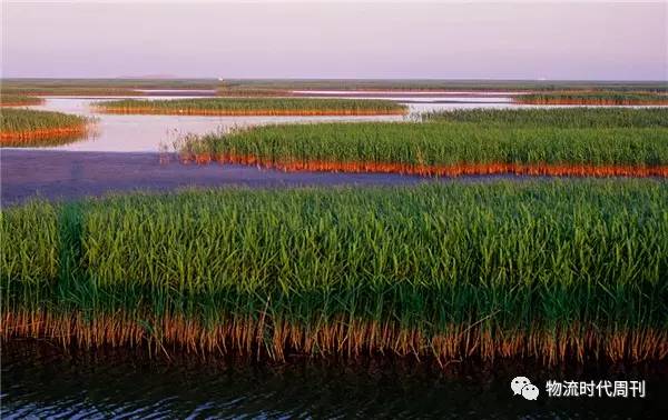 新增7大自贸区的59大物流发展重点(图3)