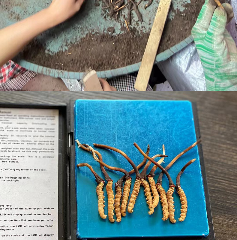 12月1日丨深圳大事件(图1)