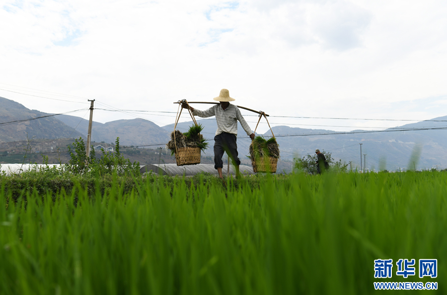 浙产美妆竞逐生态美妆新蓝海 浙江省药监局以服务型监管培育行业新质生产力(图1)