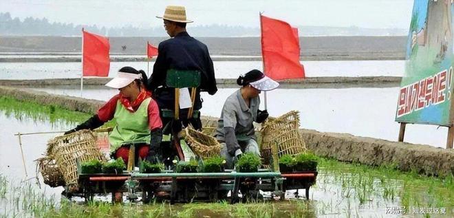 万万没想到朝鲜霸占四个世界第一至今无人能破？(图4)