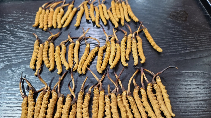 海北州：“农体文旅商”融合绘就民族团结新图景(图1)