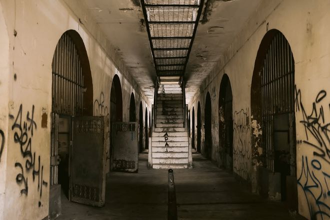 新山薅羊毛！2026 免费穿梭巴士景点不用打车(图19)