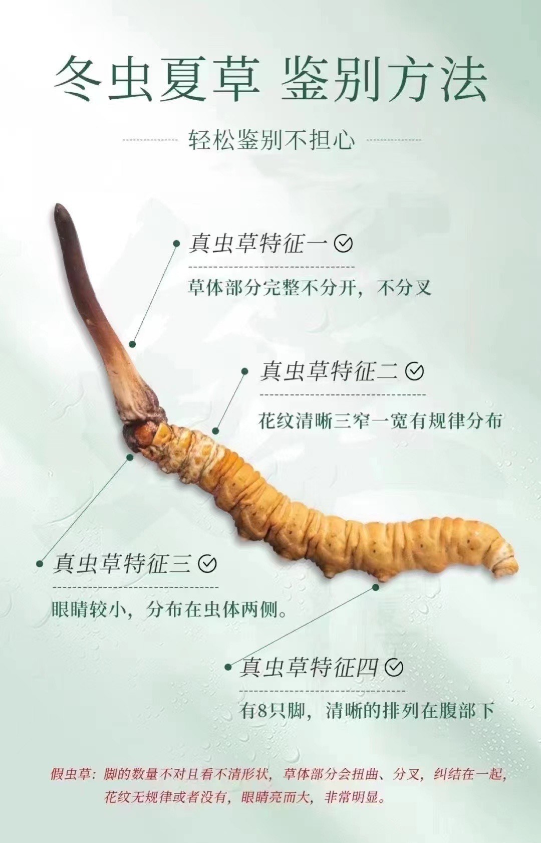 抗旱保苗河北在行动(图1)