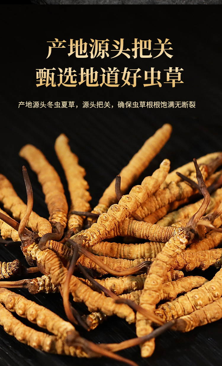 科技赋能石漠山地药香点亮乡村振兴(图1)