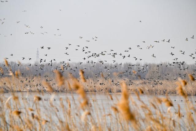 Kaiyun：一座中国村庄的“气候民生”(图1)