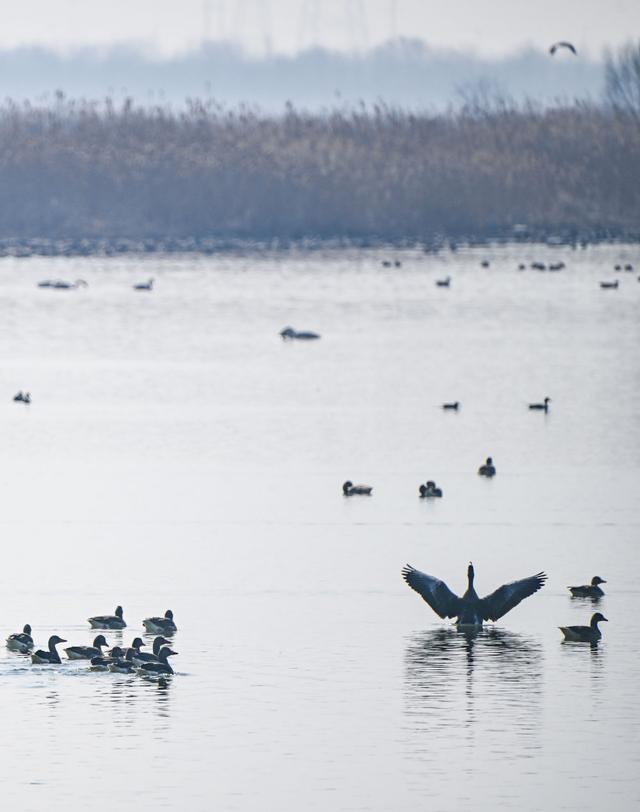 Kaiyun：一座中国村庄的“气候民生”(图2)