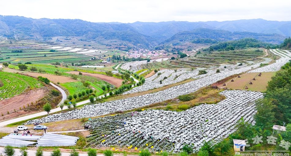 全国生态日丨从一座山一方林一片湖一株草看见美丽山东(图1)